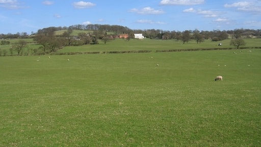 "Beoley"-foto av David Stowell (CC BY-SA) / Urklipp från original