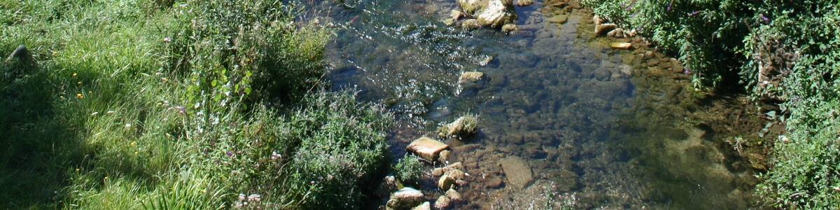 Photo "Fondamente (Aveyron) - rivière Sorgues." by Fagairolles 34 (Creative Commons Attribution-Share Alike 4.0) / Cropped from original