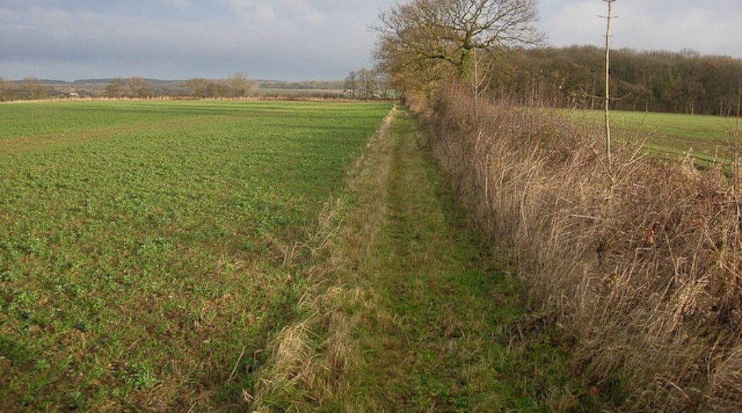 "Carlton"-foto av Hugh Venables (CC BY-SA) / Urklipp från original