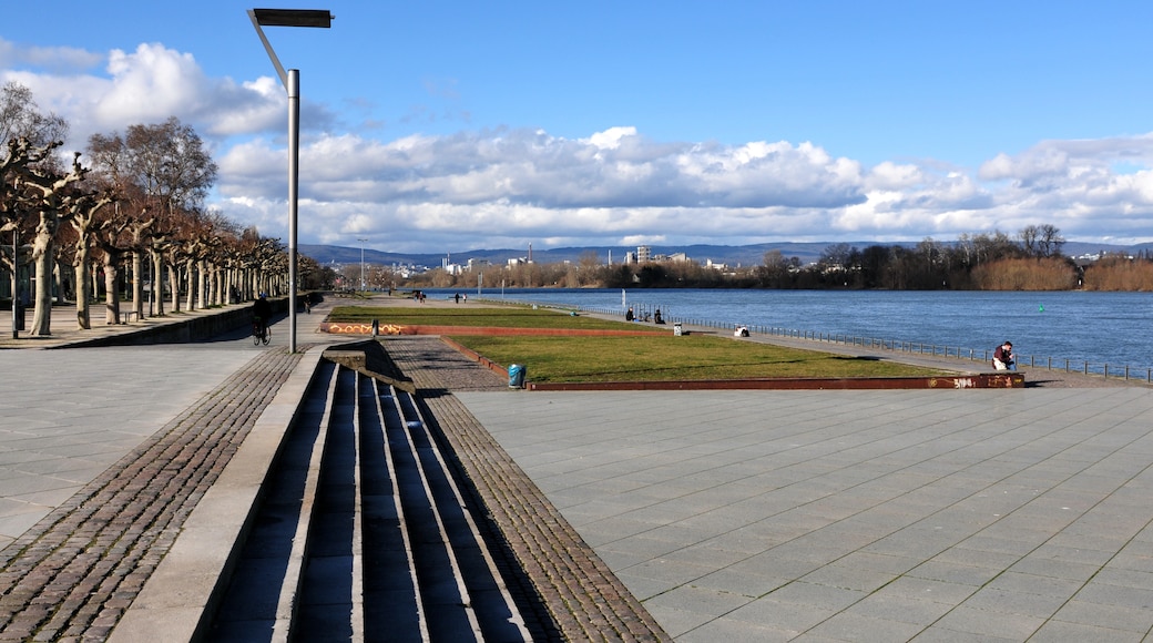 Visita Neustadt El mejor viaje a Neustadt, Maguncia, del 2023 Turismo