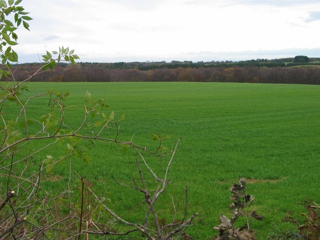 Station Road fields, Delamere Fields and woodland to the East of Station Rd, Delamere.