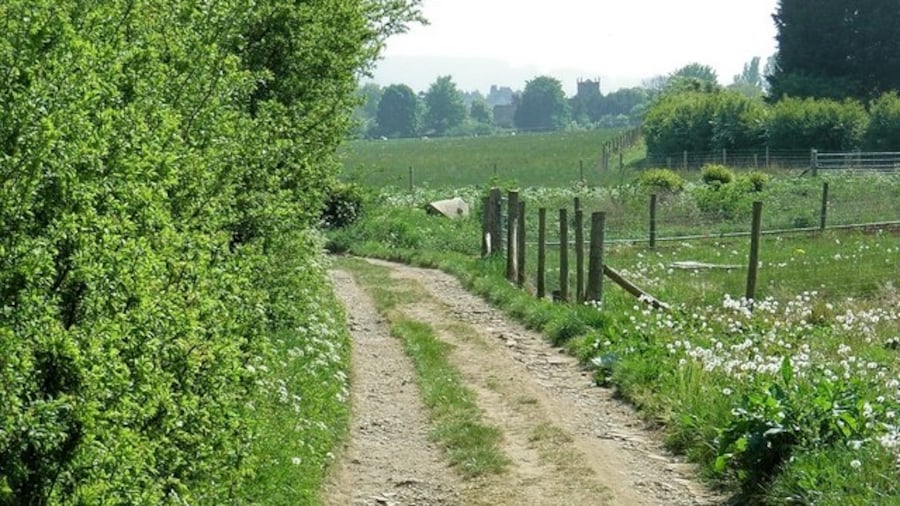 Photo "Footpath to Wickhamford The tower of Wickhamford church can be seen on the horizon." by David Luther Thomas (Creative Commons Attribution-Share Alike 2.0) / Cropped from original