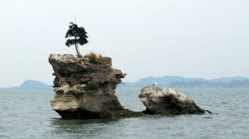 Photo "Matsushima" by pastaitaken (CC BY) / Cropped from original