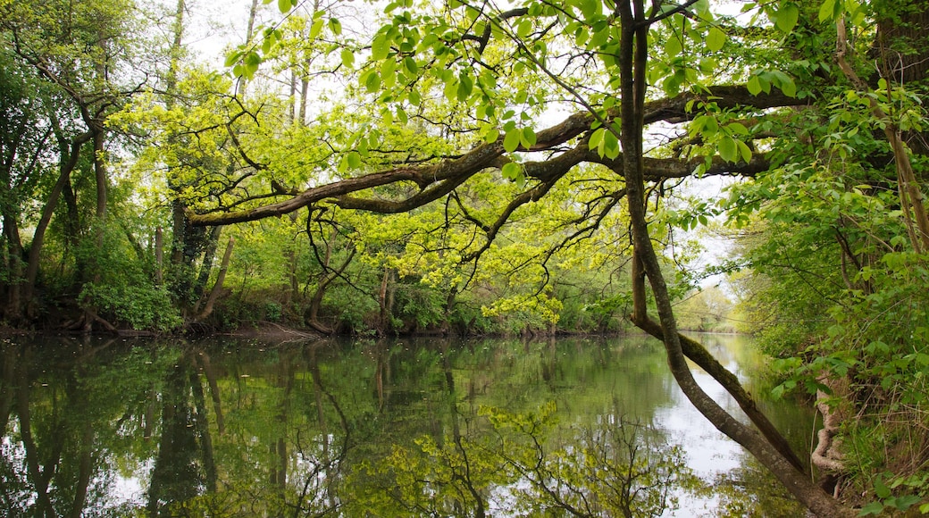 Foto "Gelnhausen" por AngelikaBeck (page does not exist) (CC BY-SA) / Recortada de la original