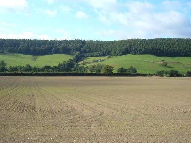 Foto “Suffield-cum-Everley” tomada por JThomas (CC BY-SA); recorte de la original