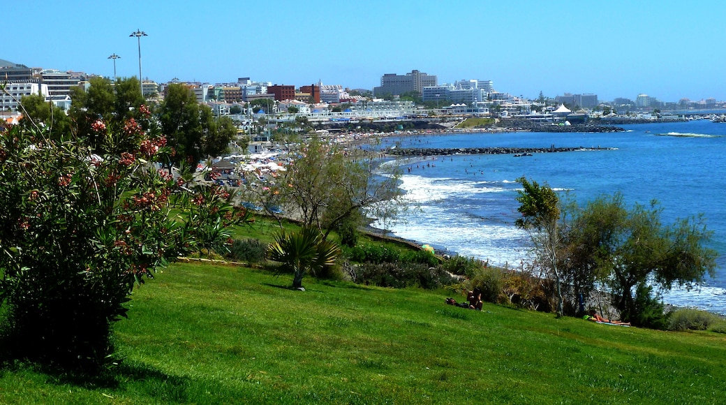 Foto „Playa de Fañabé“ von giggel (CC BY)/zugeschnittenes Original