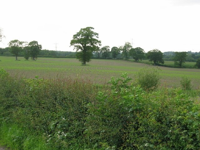 View from Norley Lane. A typical Cheshire country view