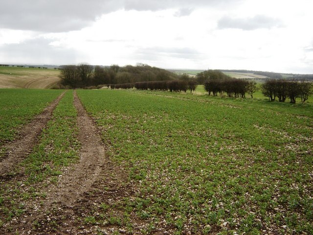 Photo "Cottam" by martin dawes (CC BY-SA) / Cropped from original