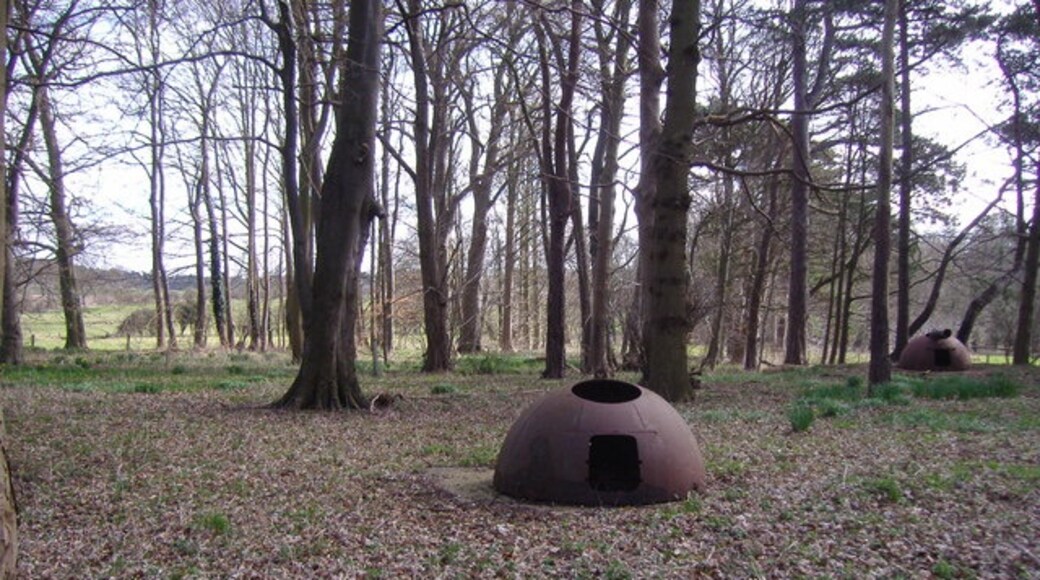 Kuva ”Cockley Cley” käyttäjältä Mark Hobbs (CC BY-SA) / rajattu alkuperäisestä kuvasta