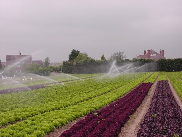 "Wyre Piddle"-foto av Dave Bushell (CC BY-SA) / Urklipp från original