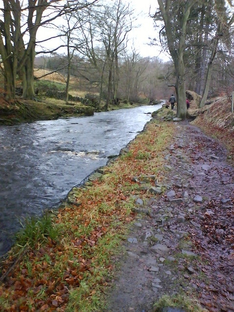 FP next to the Washburn Part of the permissive path constructed by the Water Board, alongside the river Washburn. The plastic coated netting surrounding the gabions can just be seen.