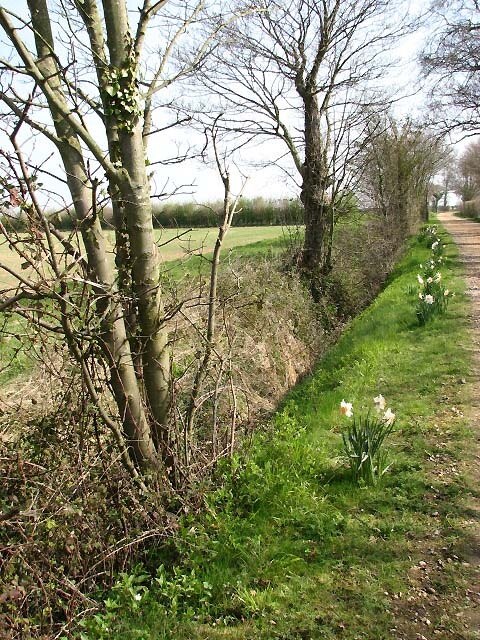 Photo "Morley" by Evelyn Simak (CC BY-SA) / Cropped from original