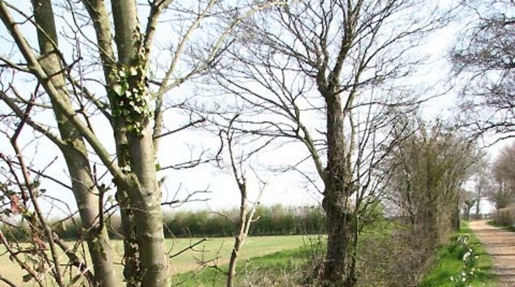 Billede "Morley" af Evelyn Simak (CC BY-SA) / beskåret fra det originale billede