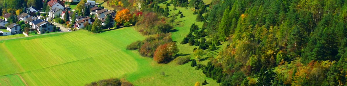 Photo "Heath In The Alb" by Dg-505 (Creative Commons Attribution 3.0) / Cropped from original