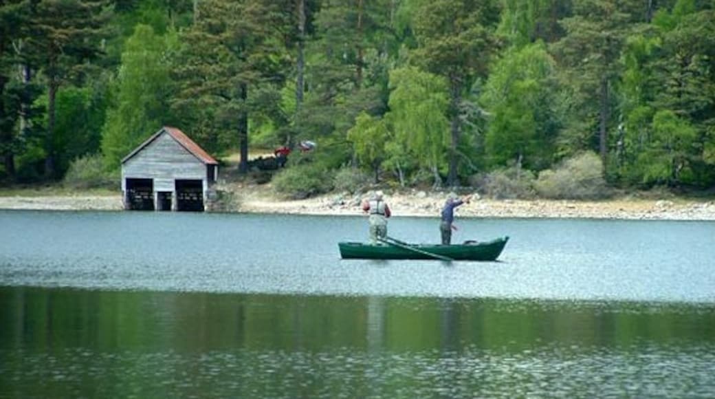 Foto “Loch Vaa” feta per Dorcas Sinclair (CC BY-SA). Retallada de l’original.