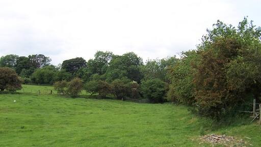 Kuva ”Azerley” käyttäjältä Chris Heaton (CC BY-SA) / rajattu alkuperäisestä kuvasta