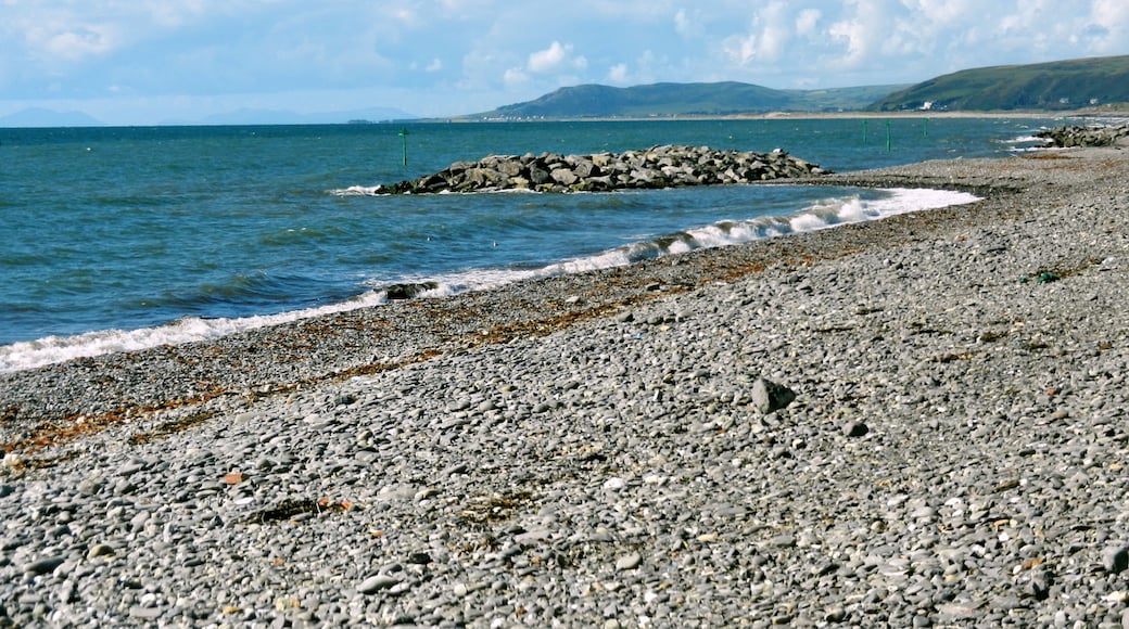 Foto "Traeth Ynyslas - Ynyslas Beach" di Tanya Dedyukhina (CC BY) / Ritaglio dell’originale