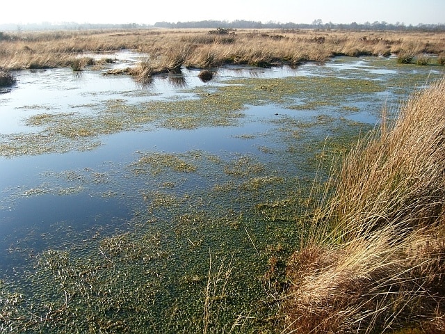 "Bowness"-foto av Rose and Trev Clough (CC BY-SA) / Urklipp från original