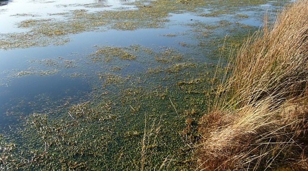 "Bowness"-foto av Rose and Trev Clough (CC BY-SA) / Urklipp från original