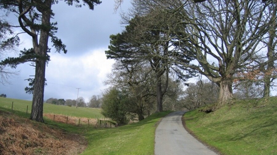 Photo "The main drive to Gwysaney Hall The main drive up to Gwysaney Hall has some very old trees. The public footpath passes through the gate at the bottom of the fence on the left." by John S Turner (Creative Commons Attribution-Share Alike 2.0) / Cropped from original