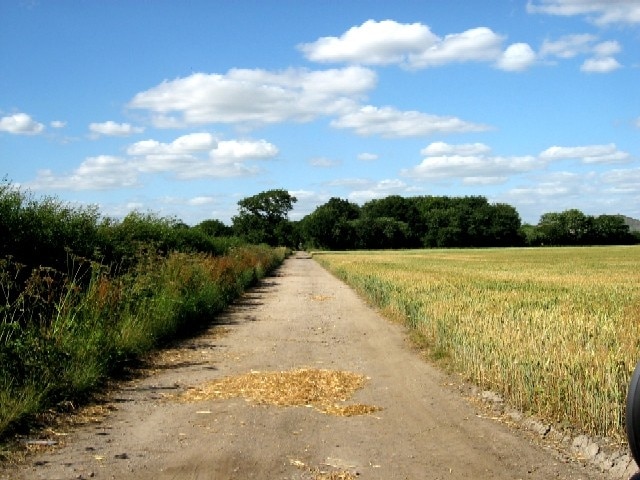 The Unpaved Track to the A163. There is no obvious reason for the track to be unpaved