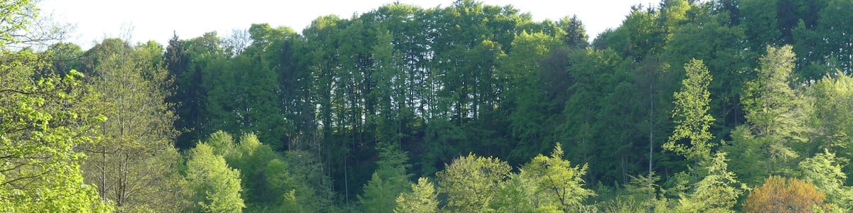 Photo "Kupferbachtal zwischen Spielberg und Frauenreuth, Bayern" by Hsuepfle (Creative Commons Attribution-Share Alike 3.0) / Cropped from original