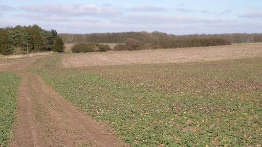 Photo "Newington" by Andrew Smith (CC BY-SA) / Cropped from original