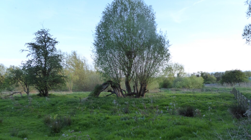 Foto „Barton Seagrave“ von Dudley Miles (CC BY-SA)/zugeschnittenes Original