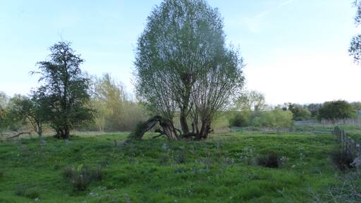 Foto “Barton Seagrave” tomada por Dudley Miles (CC BY-SA); recorte de la original