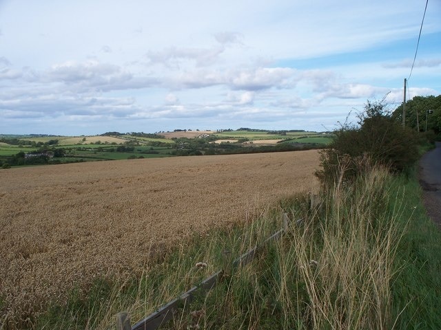 The view Looking NorthEast from the Chesterhill junction.Towards Shilbottle in the distance.