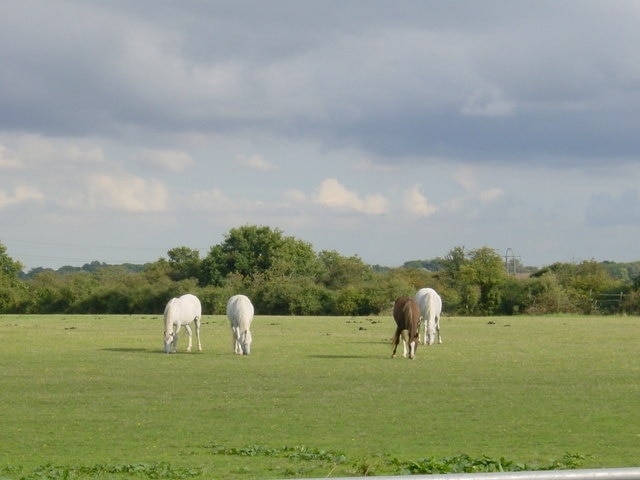 Foto „Ramsden Crays“ von Joan (CC BY-SA)/zugeschnittenes Original
