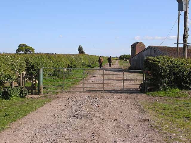 Foto “Eryholme” tomada por Oliver Dixon (CC BY-SA); recorte de la original