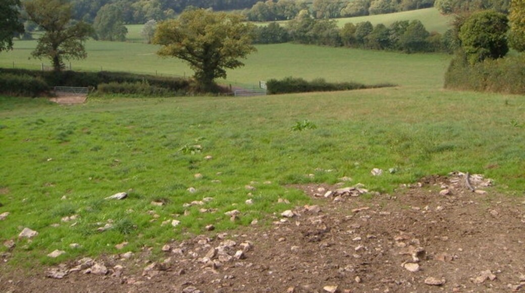 "Whitestaunton"-foto av Derek Harper (CC BY-SA) / Urklipp från original