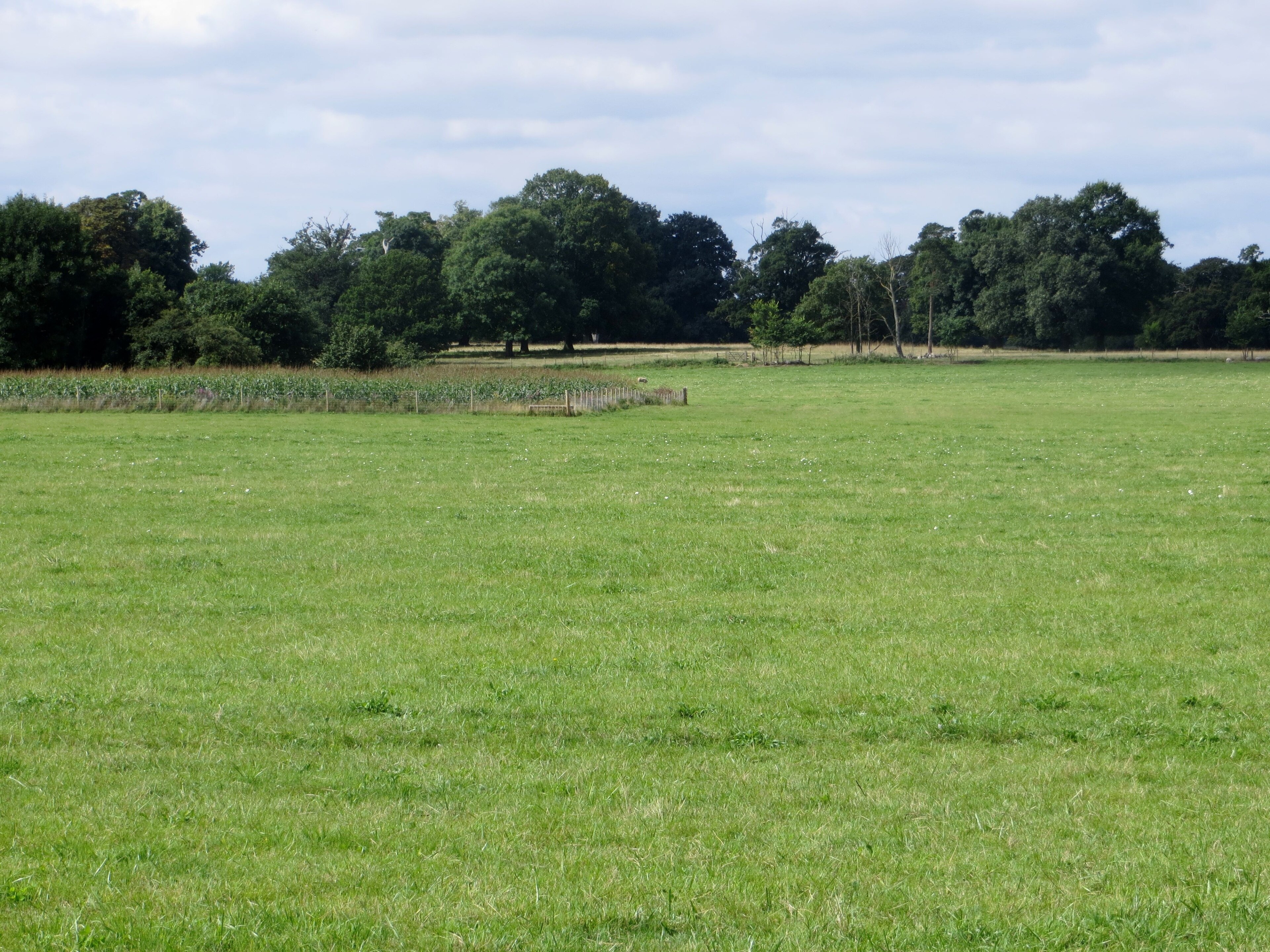 Foto “Diddington” tomada por Forester2009 (CC BY-SA); recorte de la original