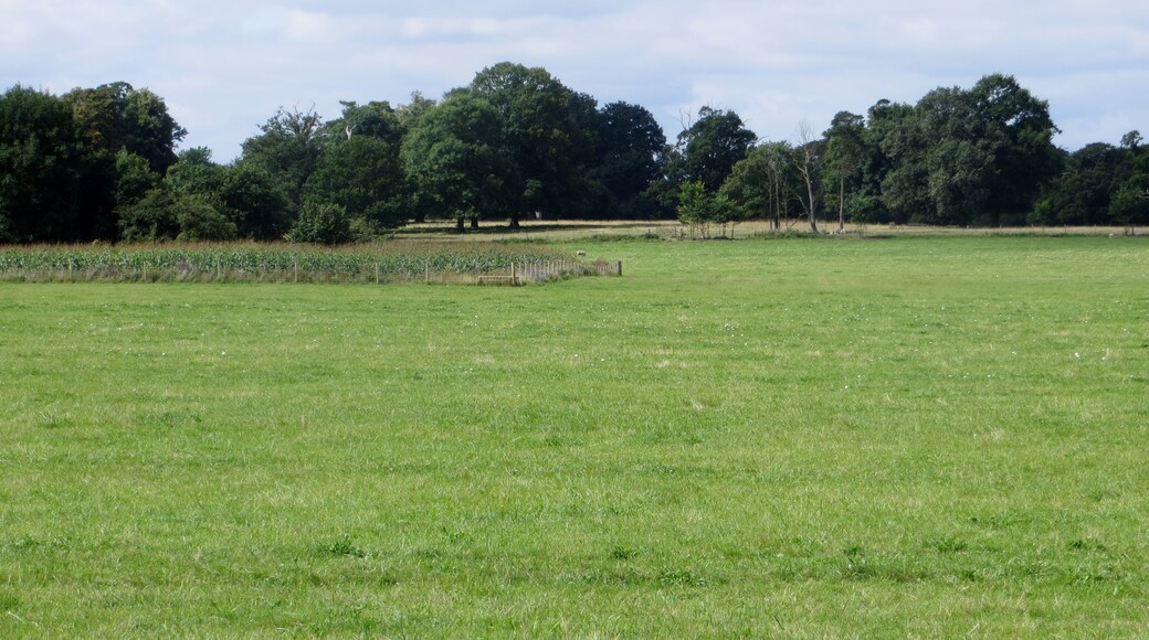 Foto “Diddington” tomada por Forester2009 (CC BY-SA); recorte de la original