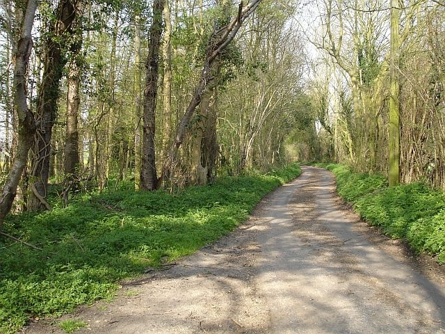 Lane to Hegdale Farm. The farmhouse may be seen here 402636