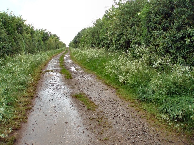 Footpath from Earl's Lane This track leads to a field of cows and not much else!