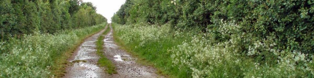 Photo "Footpath from Earl's Lane This track leads to a field of cows and not much else!" by Duncan Lilly (Creative Commons Attribution-Share Alike 2.0) / Cropped from original