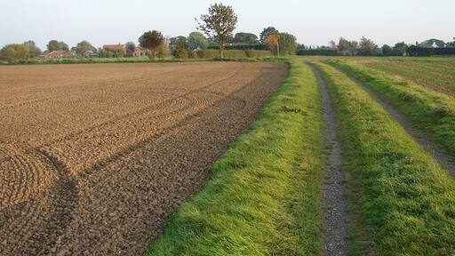 Foto "Withern com Stain" de Ian Paterson (CC BY-SA) / Recortada do original