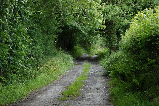 Lane heading towards Esgair Little used by the look of it. The 1:25000 and 1:50000 maps differ markedly in what's along this lane.