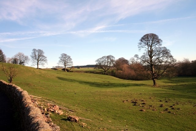 Salterford Lane Field next to Fother Royd Wood