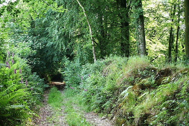 Dunkeswell: The Chase. A bridleway leading to Grange Farm, seen near the entrance to Wolford Farm, seemingly now a residence and renamed Old Wolford Farm. Looking south west