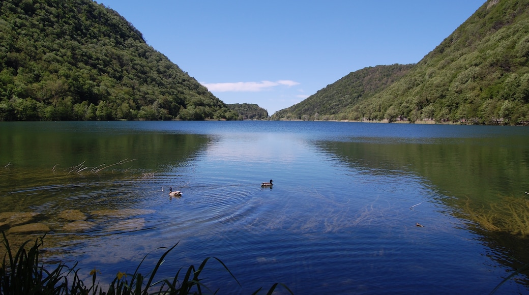 Foto “Lago del Segrino” tomada por Simo1977 (page does not exist) (CC BY-SA); recorte de la original