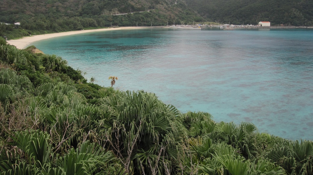 Foto "Isla de Tokashiki" de TomazVajngerl (page does not exist) (CC BY-SA) / Recortada de la original