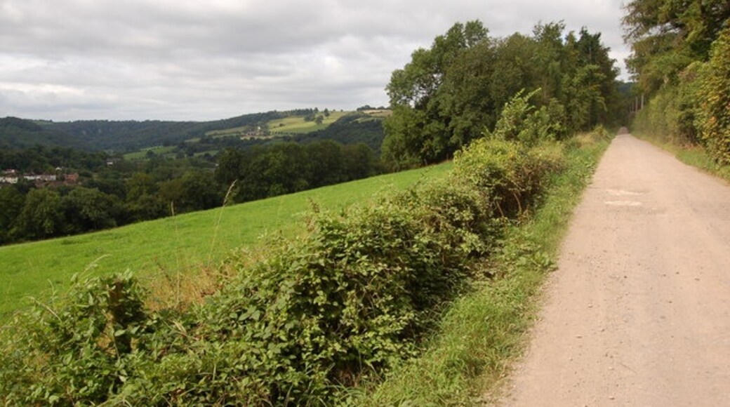 Foto “Welsh Bicknor” tomada por Roger Davies (CC BY-SA); recorte de la original