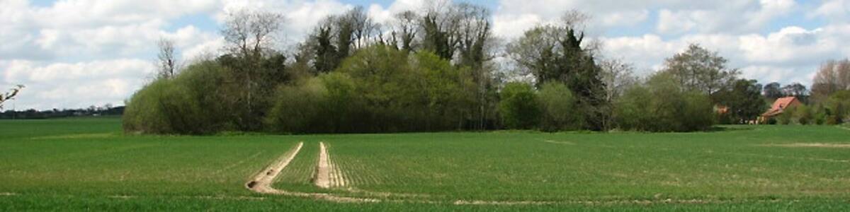 Photo "The site of Gresham Castle The island of trees seen across the field conceals the remains of a fortified manor house: Gresham Castle is believed to be of similar shape as the neighbouring Baconsthorpe Castle. A licence to crenellate was granted to Sir Edmund Bacon in 1319. Before that time, a castle of the De Stuteville family stood here. It was captured and looted in 1450 by Lord Moleyns. Large timbers, presumed to be what remained of a drawbridge, an entrance to a passage, and the keel of a boat were discovered in 1846 when the surrounding moat was cleaned out. Presently the site, a Grade 2 listed building, is overgrown with brambles, nettles and trees, and nothing much of the original structure remains. See also: http://homepage.mac.com/philipdavis/English%20sites/1959.html" by Evelyn Simak (Creative Commons Attribution-Share Alike 2.0) / Cropped from original