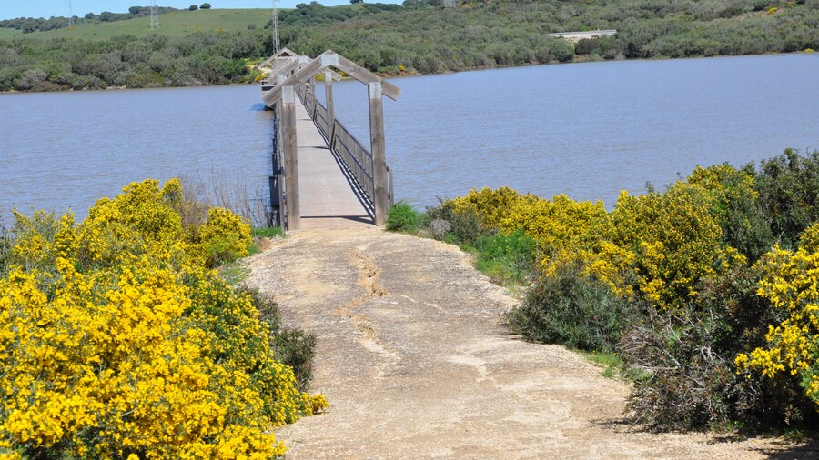 Photo "Bridge in the reservoir of the Celemín of the green corridor of the two bays, Las Lagunetas, Benalup, Cádiz, Spain" by Xemenendura (Creative Commons Attribution-Share Alike 4.0) / Cropped from original
