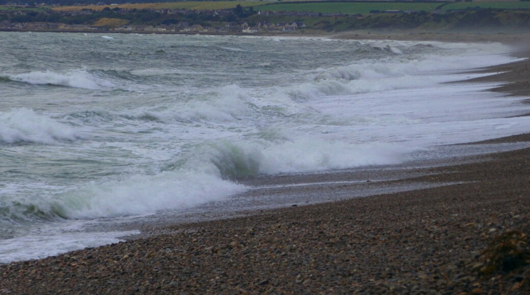 Photo "Tannachy Sands" by Dg-505 (CC BY) / Cropped from original