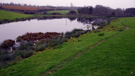 Kuva ”Newbottle” käyttäjältä Julian Dowse (CC BY-SA) / rajattu alkuperäisestä kuvasta