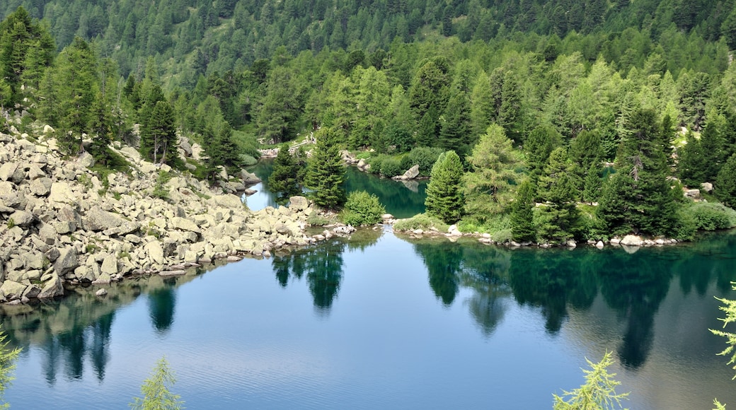 "Lago di Val Viola"-foto av Simisa (CC BY-SA) / Urklipp från original